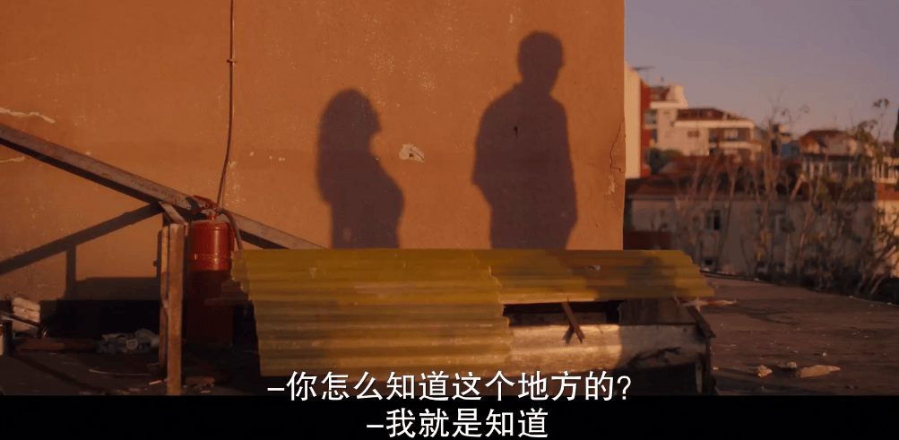 白小姐三肖中特开奖结果_女人常说的几句话：深情与微妙的暗示