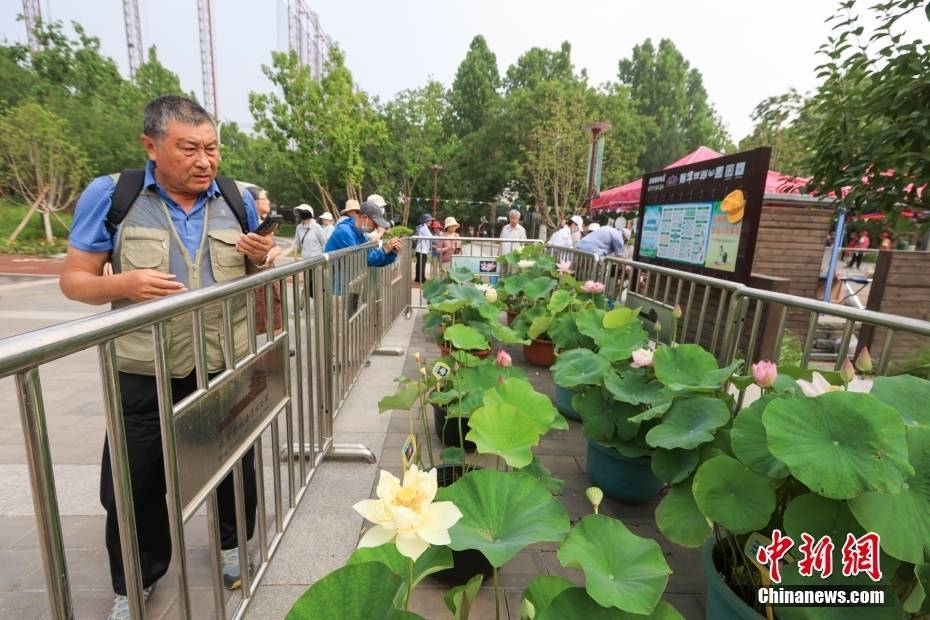 澳门2024年公众假期_浙江举办文化展重温奥运记忆 奥运冠军展望巴黎