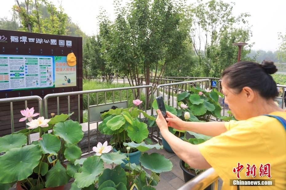 新澳门资料大全正版资料?奥利奥_“澳式”周末快闪！澳大利亚文化旅游展来穗展出  第2张