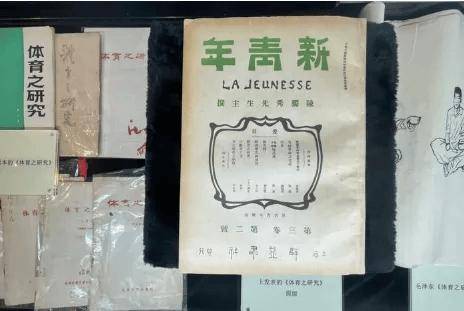 一码一肖100准资料_体育运动学校何以由“危”转“机”？—基于多案例分析（3-3）  第2张