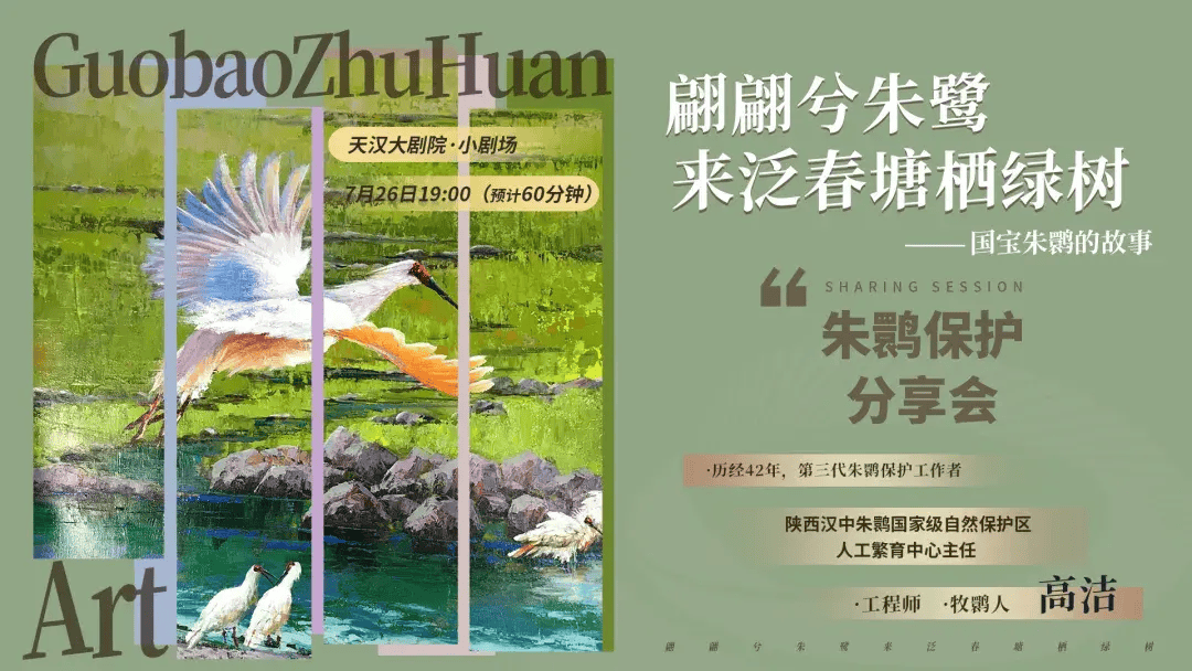 澳门彩天天精准资料大全_屋檐上的文脉 | 古建修缮——用匠心守护文化瑰宝