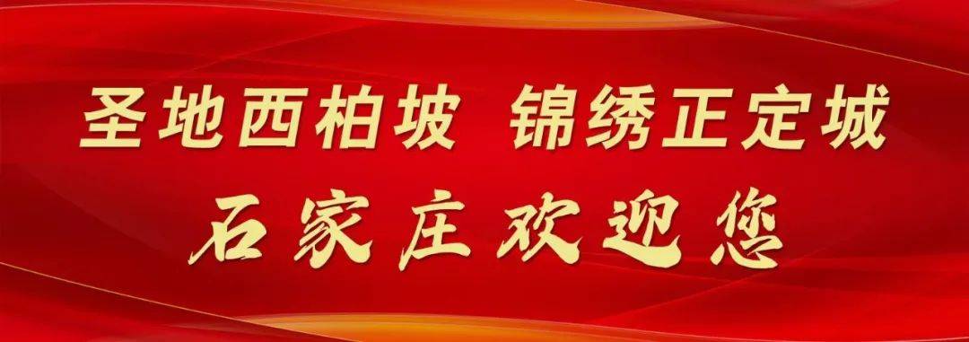 新澳门六开奖结果2024开奖记录查询网站_温暖每一只小猫！海报新闻携手“它陪伴计划”发起猫咪领养活动