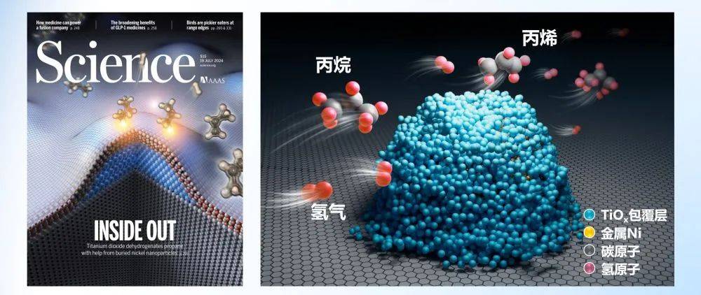 白小姐三肖三期开奖时间_意甲新闻汇：伊布瓜帅“相逢泯恩仇”？国米即将卖出阿根廷天才  第2张