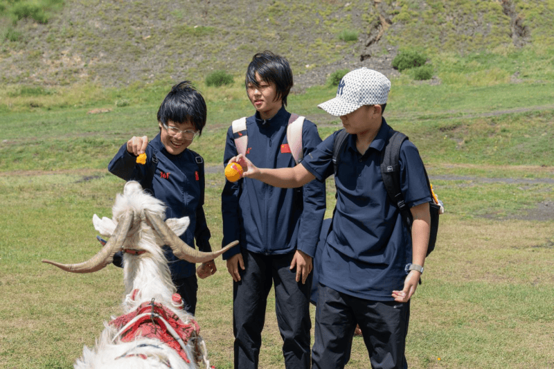 2024年新澳门_“极旨体育杯”亲子徒步活动燃爆鹤山大雁山