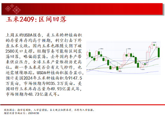 中天期货:玉米区间回落 棕榈大阳线  第7张