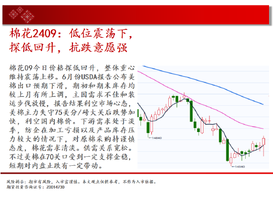 中天期货:玉米区间回落 棕榈大阳线  第14张