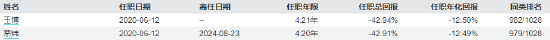 近3年回报-47.44%！南方基金百亿基金经理茅炜离任 卸任5只产品继任者过往业绩“参差不齐”  第9张